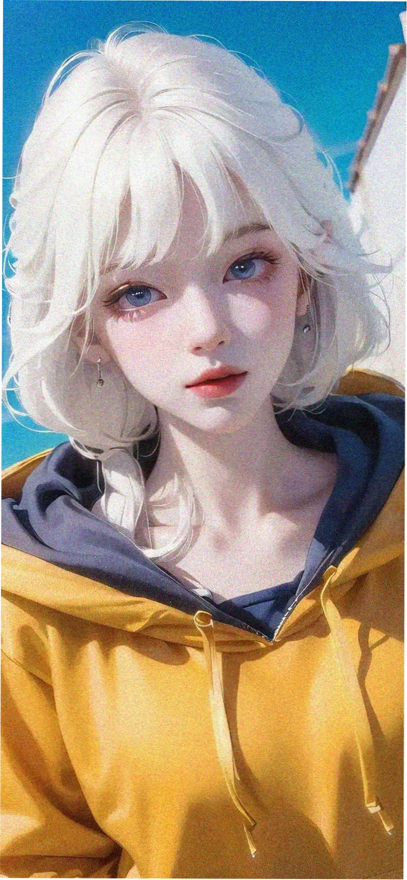 南来北往